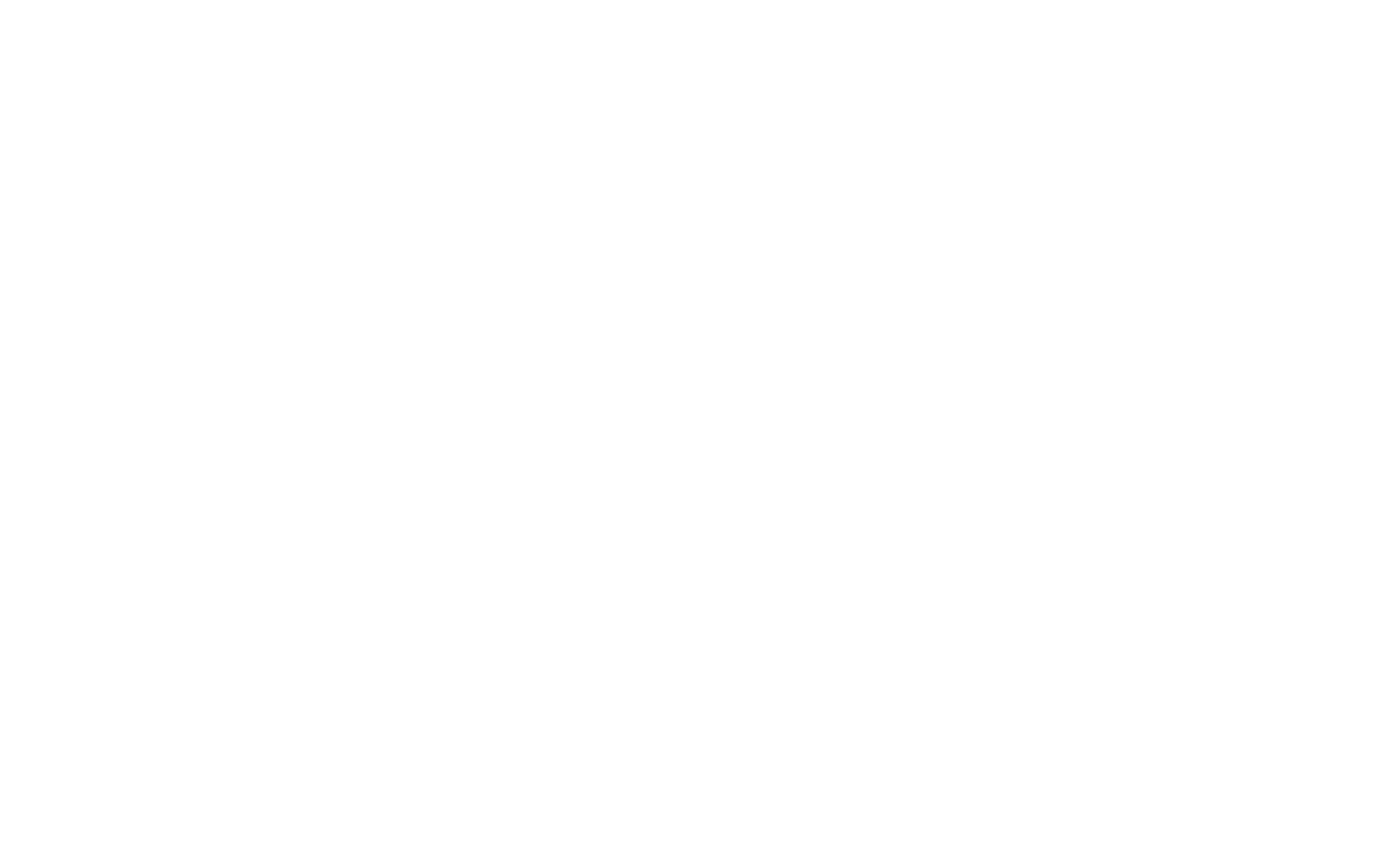 CodeConsult logo
