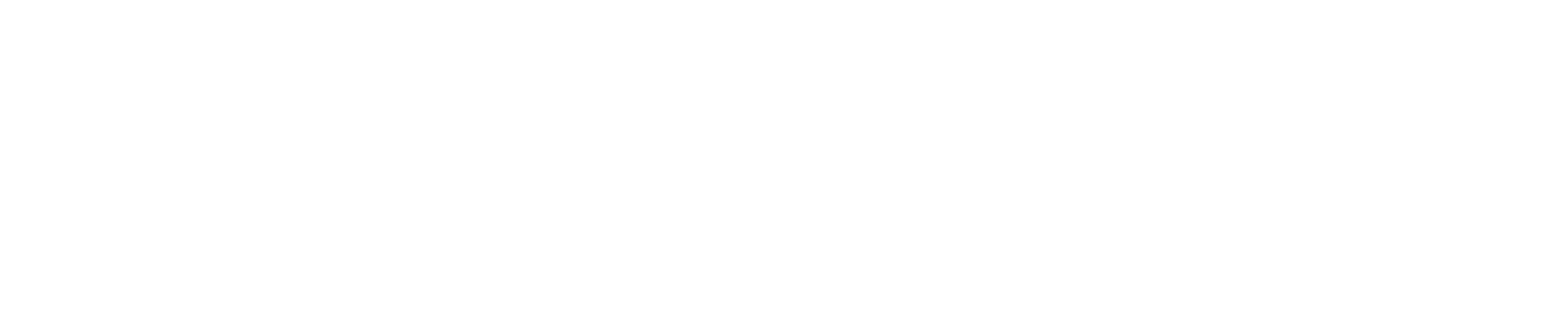 CodeConsult logo